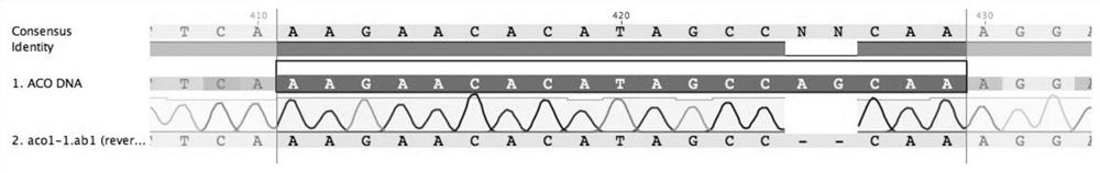 The Method of Changing the Properties of Cucumber Tendrils