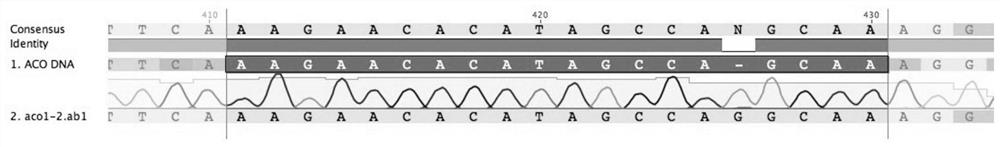 The Method of Changing the Properties of Cucumber Tendrils