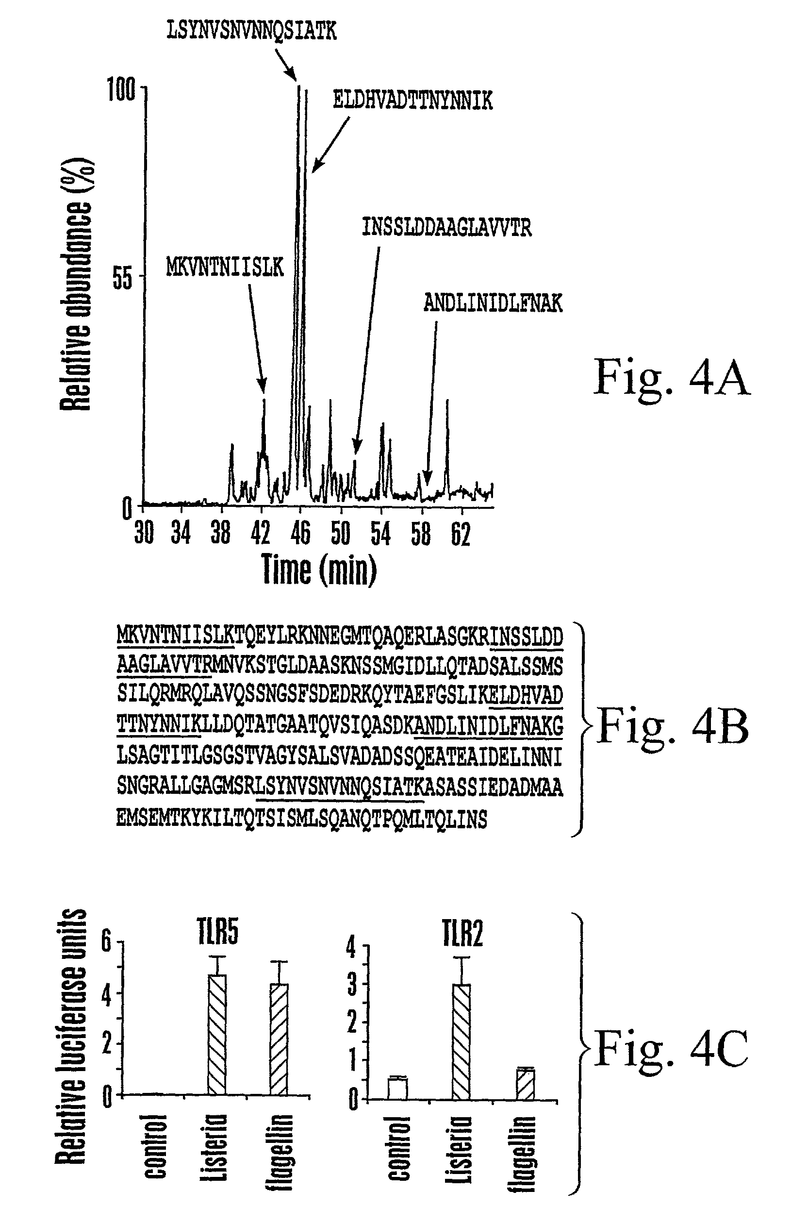 Toll-like receptor 5 ligands and methods of use