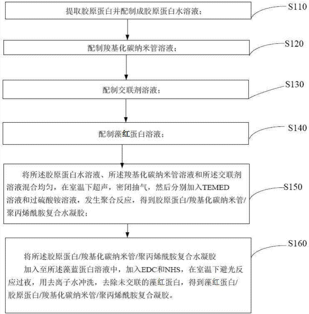 Plural gel containing phycoerythrin, preparation method and application