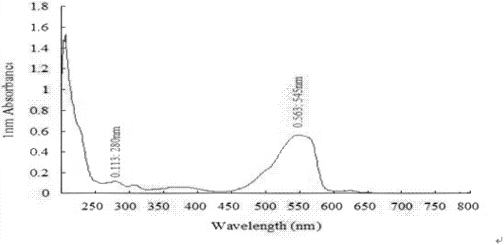 Plural gel containing phycoerythrin, preparation method and application
