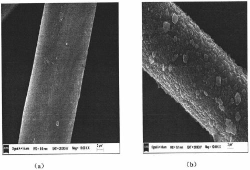 A kind of multifunctional skin protection material and its preparation method and application