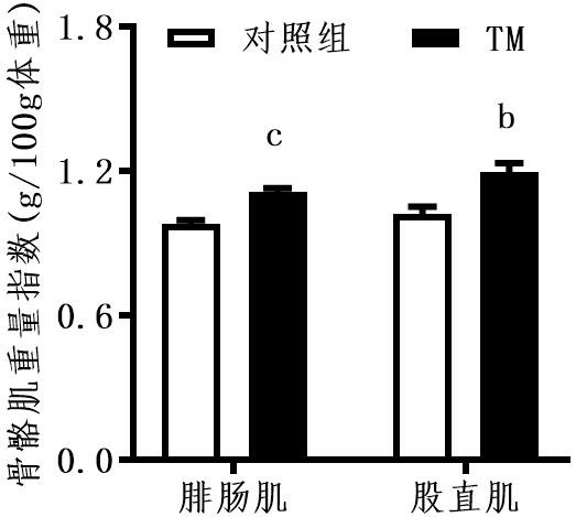 Muscle building and therapeutic application of tetrathiomolybdate