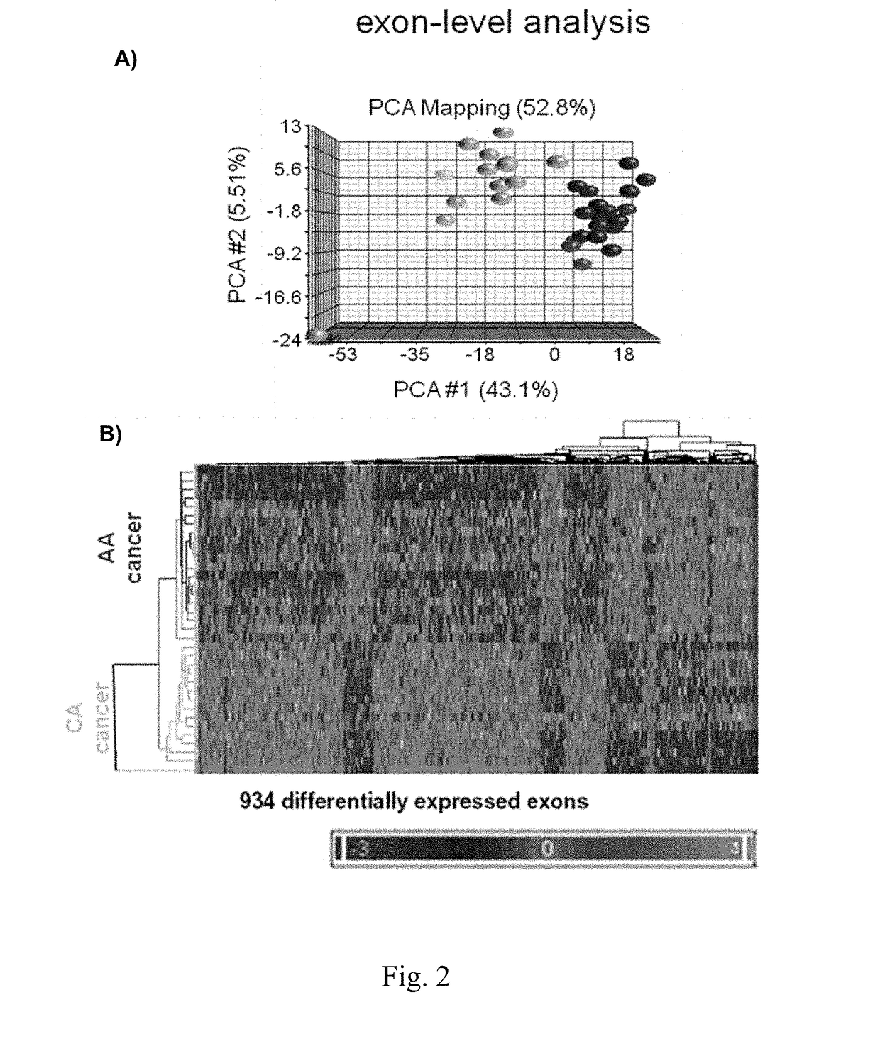 Companion diagnostics for cancer and screening methods to identify companion diagnostics for cancer based on splicing variants