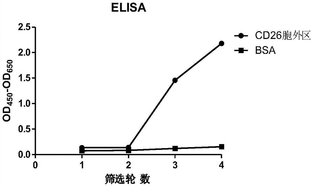 Anti-CD26 antibody and application thereof