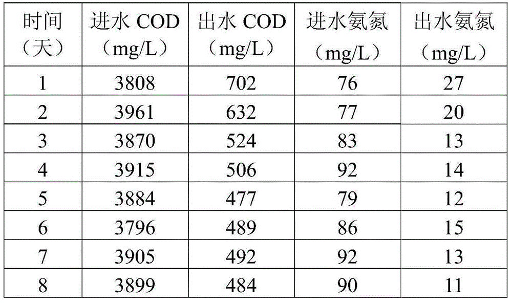 A strain of Rhodococcus erythrococcus and its application in wastewater treatment containing organic pollutants