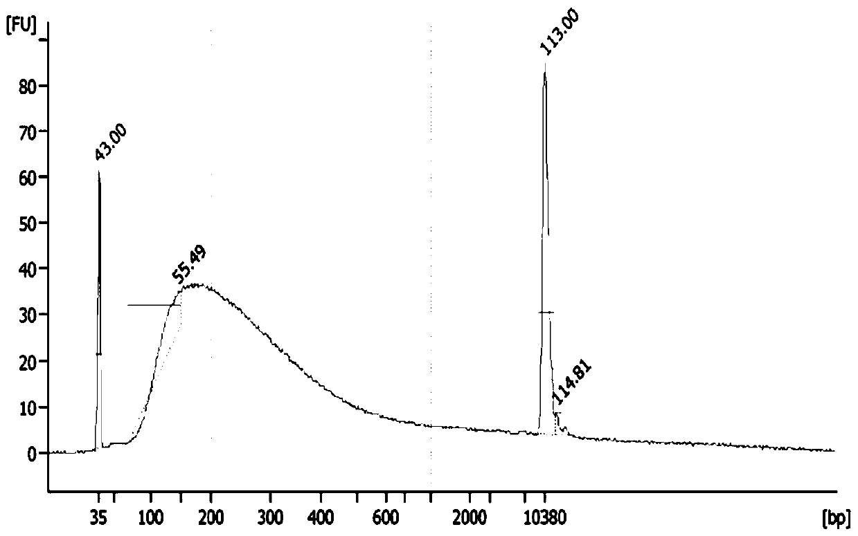 A group of thyroid cancer markers and their applications