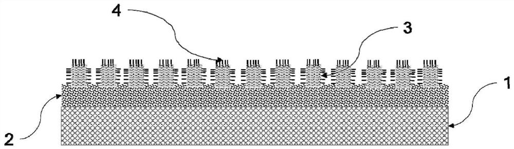 Fuel cell electrode with catalyst growing on ordered structure microporous layer in situ and preparation method of membrane electrode