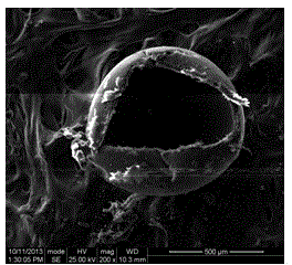 Medicament microsphere and preparation method thereof