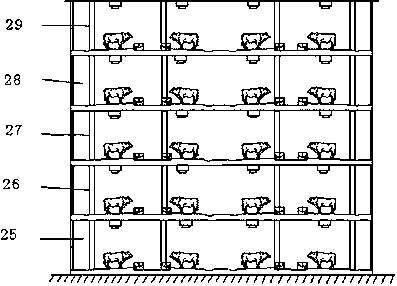 Stereoscopic cattle raising technology