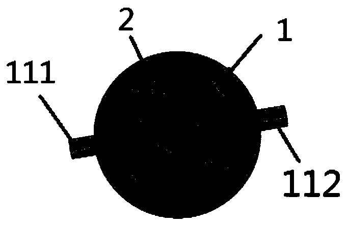 Plasma generating device for treating skin diseases