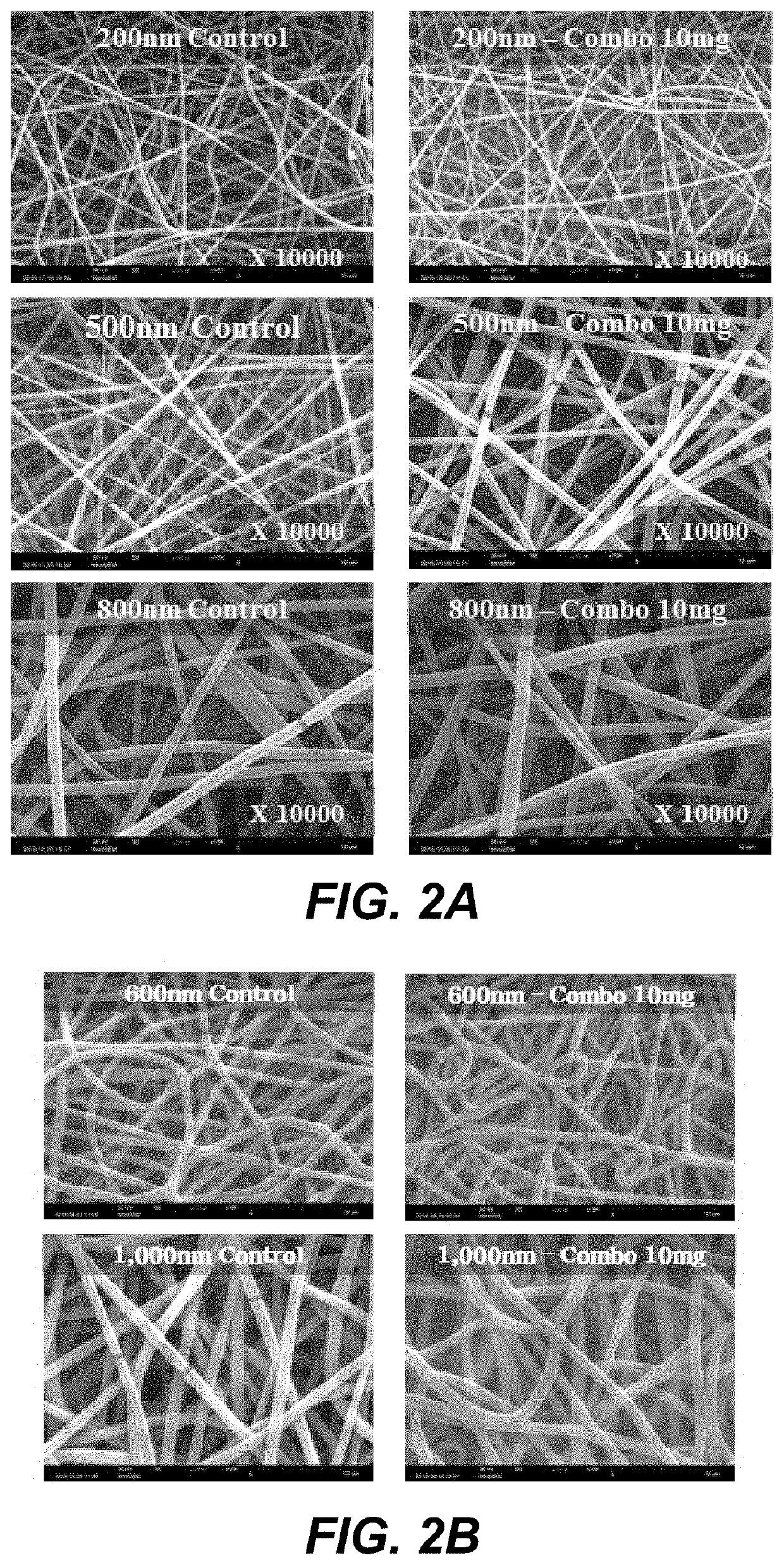 Defined three dimensional microenvironment for cell culture