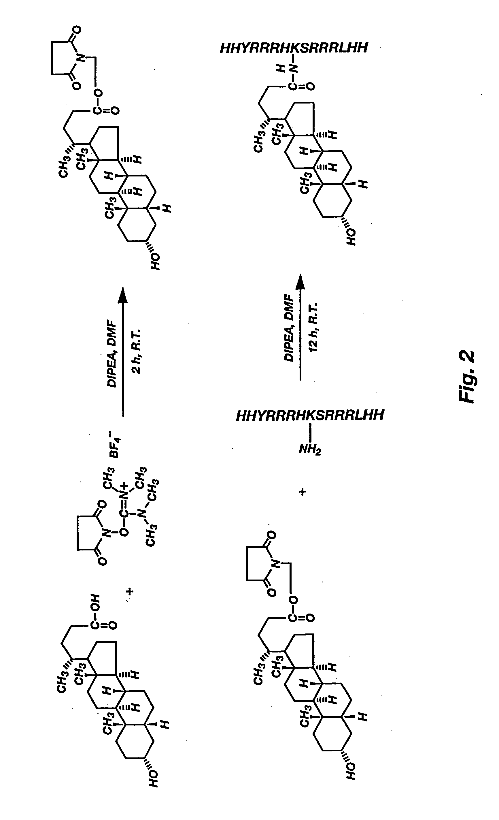 Soluble steroidal peptides for nucleic acid delivery