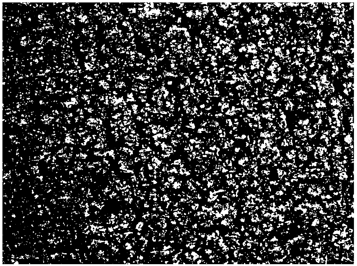 Shell, preparation method thereof and electronic product