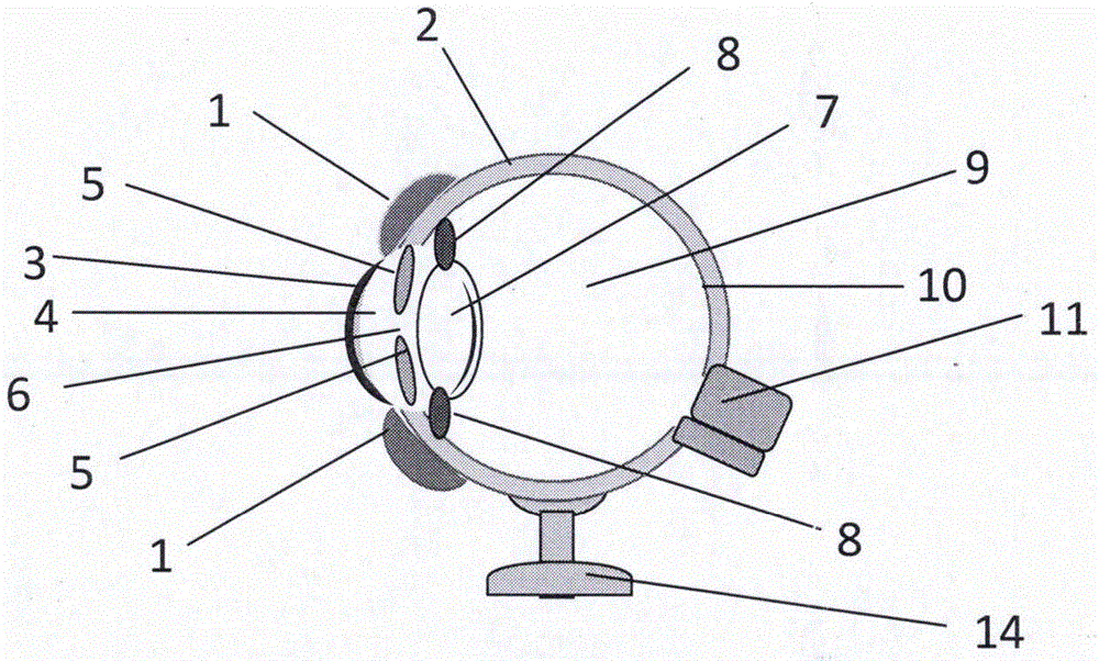 Eyeball teaching model with eyelids