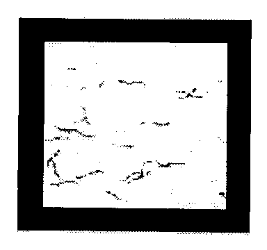 Intelligent texture anti-counterfeiting method based on discrete Fourier transformation (DFT)