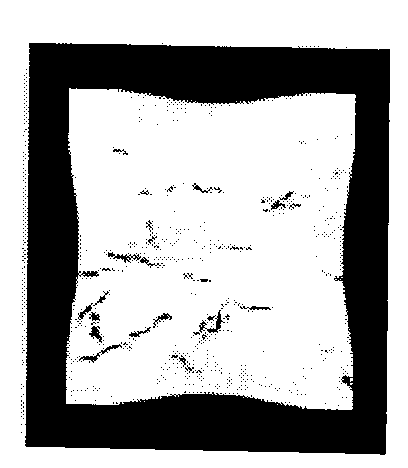 Intelligent texture anti-counterfeiting method based on discrete Fourier transformation (DFT)