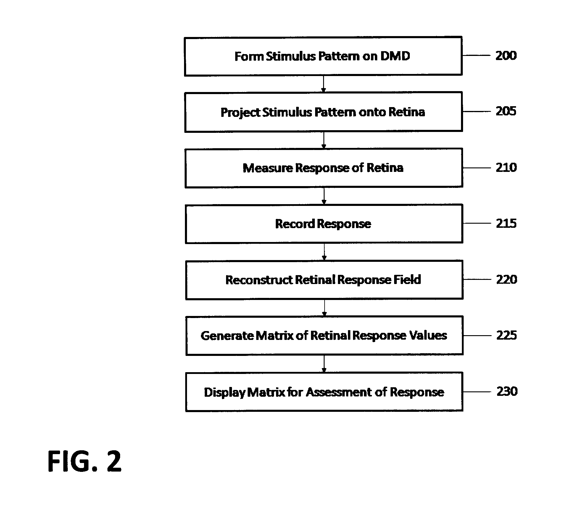 System and method for assessing retinal functionality