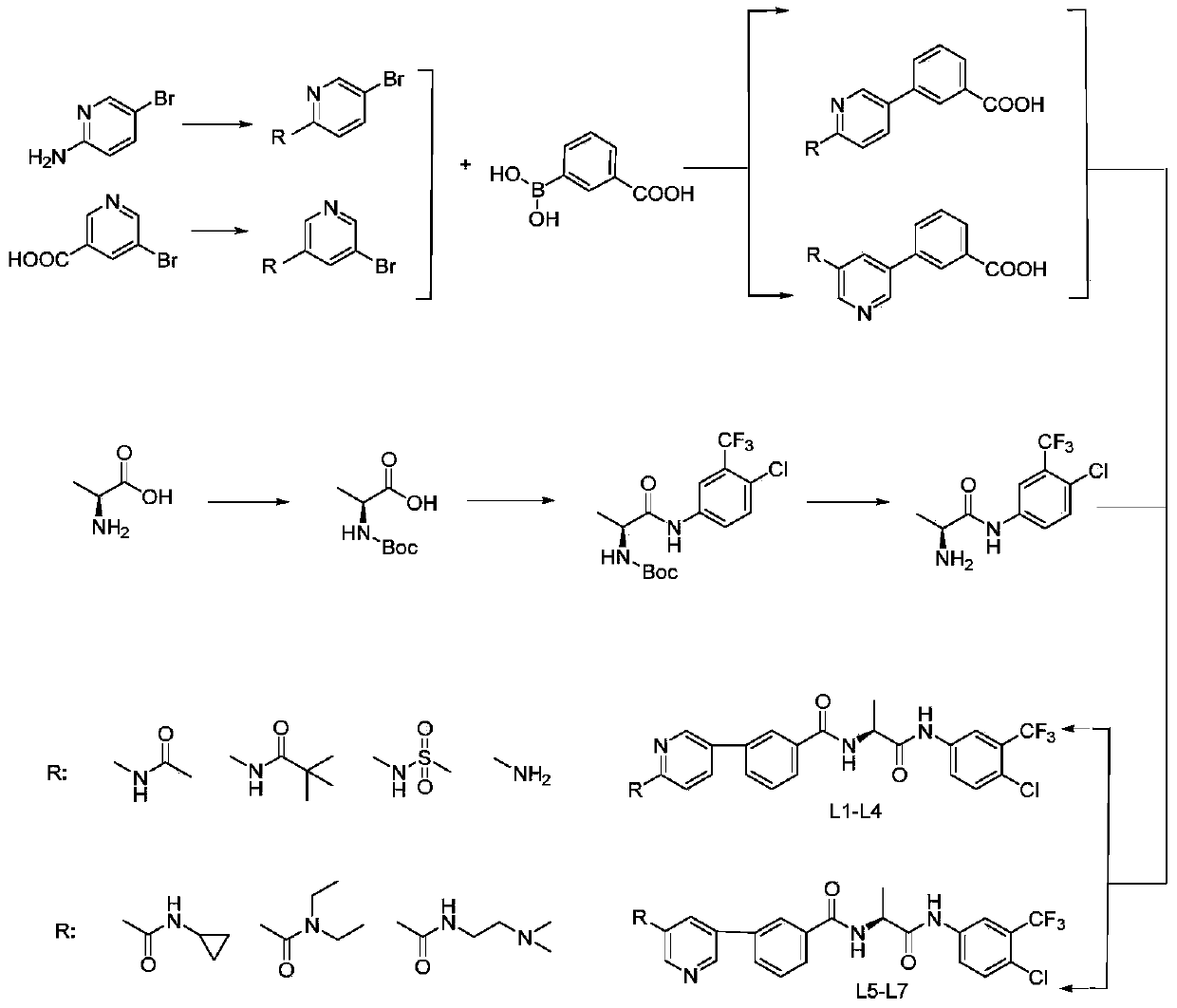 A kind of alanine derivative and its preparation method and application