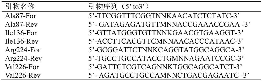 A kind of nitrilase mutant with improved nitrile hydration activity specificity and application thereof