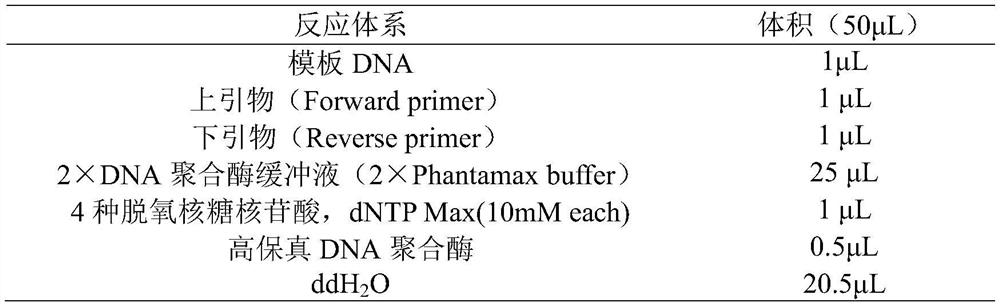 A kind of nitrilase mutant with improved nitrile hydration activity specificity and application thereof