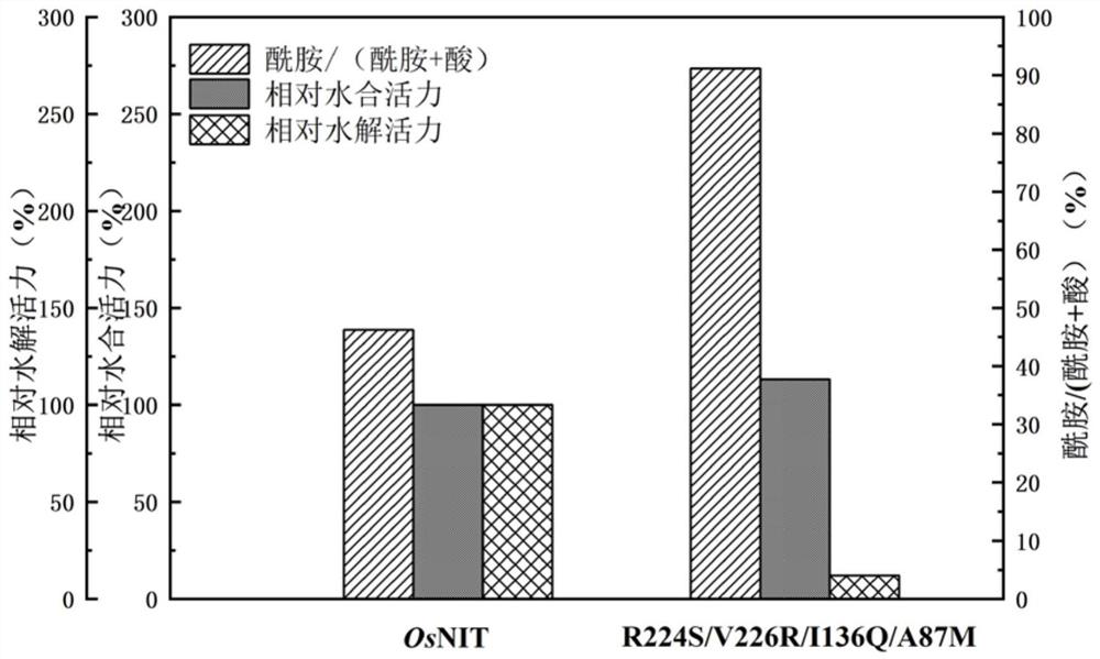 A kind of nitrilase mutant with improved nitrile hydration activity specificity and application thereof