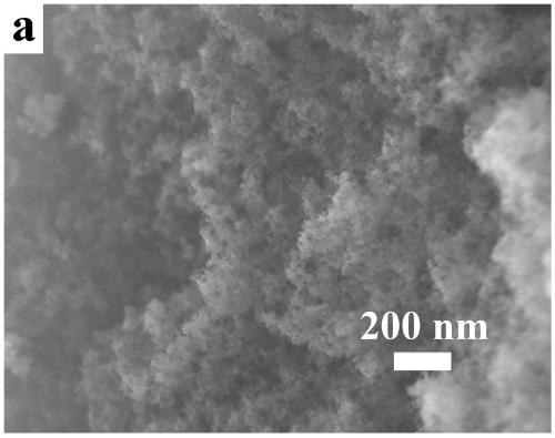 Barium stannate composite silicon oxide aerogel powder and preparation method thereof