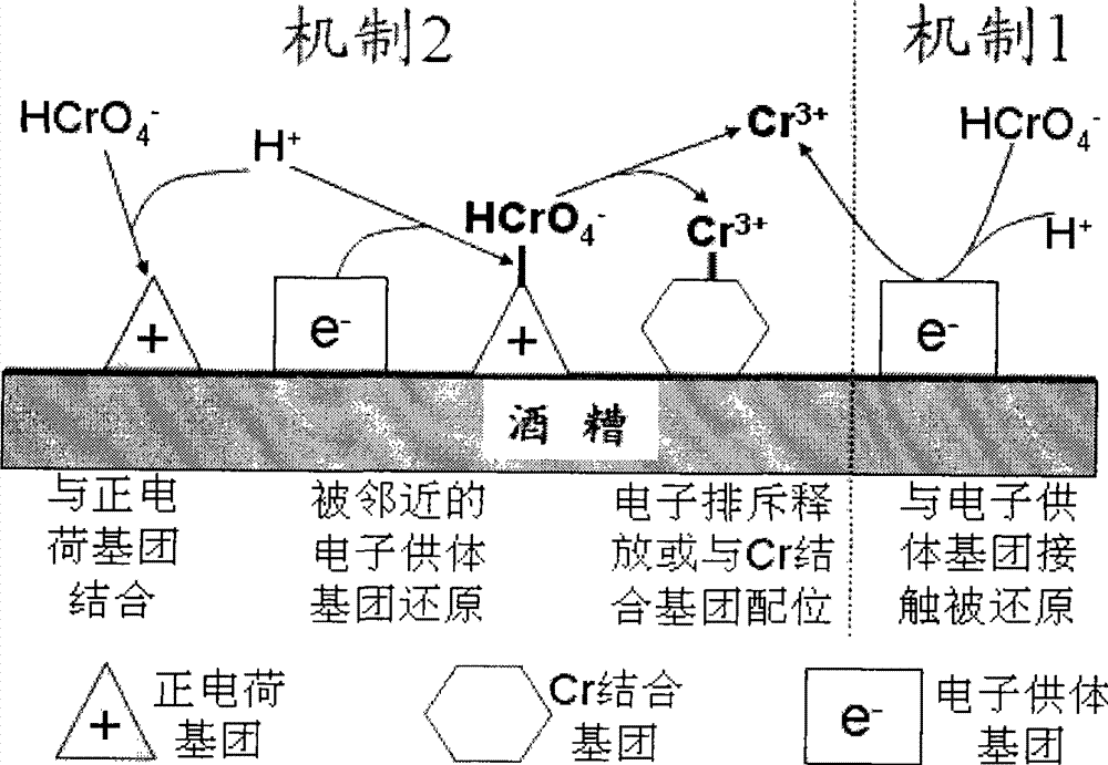 Method for reducing hexavalent chromium in water by biological waste