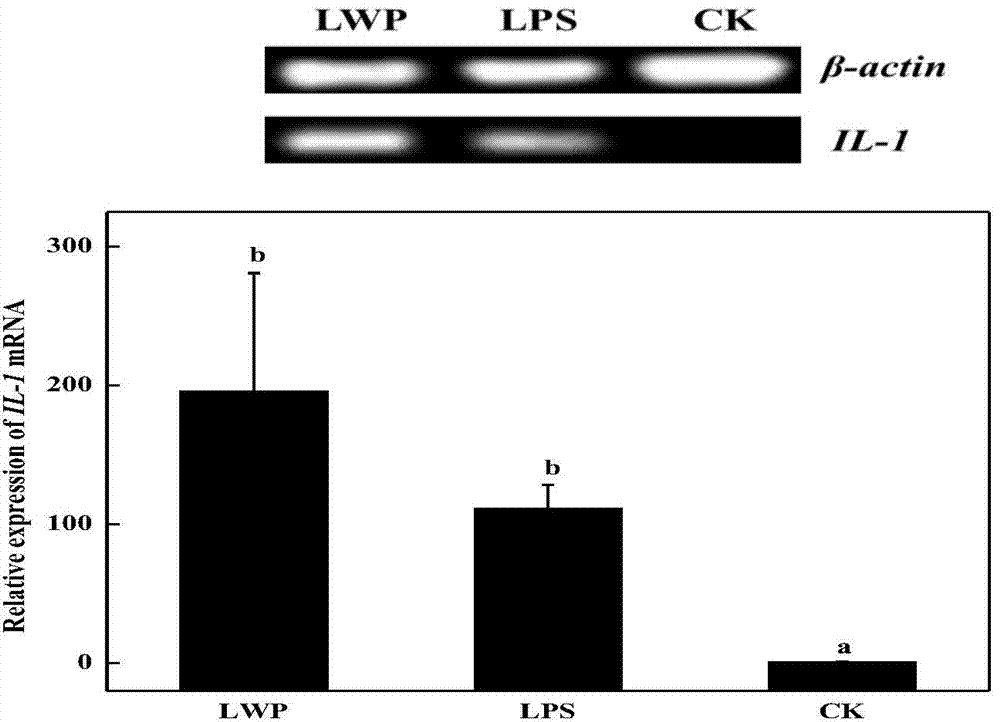 Inflammation-induced protein component, and preparation method and product thereof