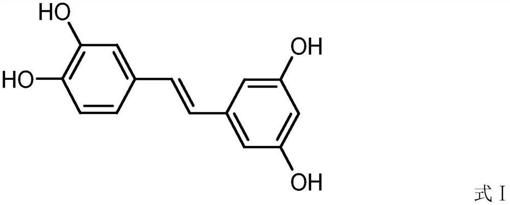 Extraction method of piceatannol in rhubarb medicinal materials, microcapsule molecular embedding method and application of piceatannol in cosmetics