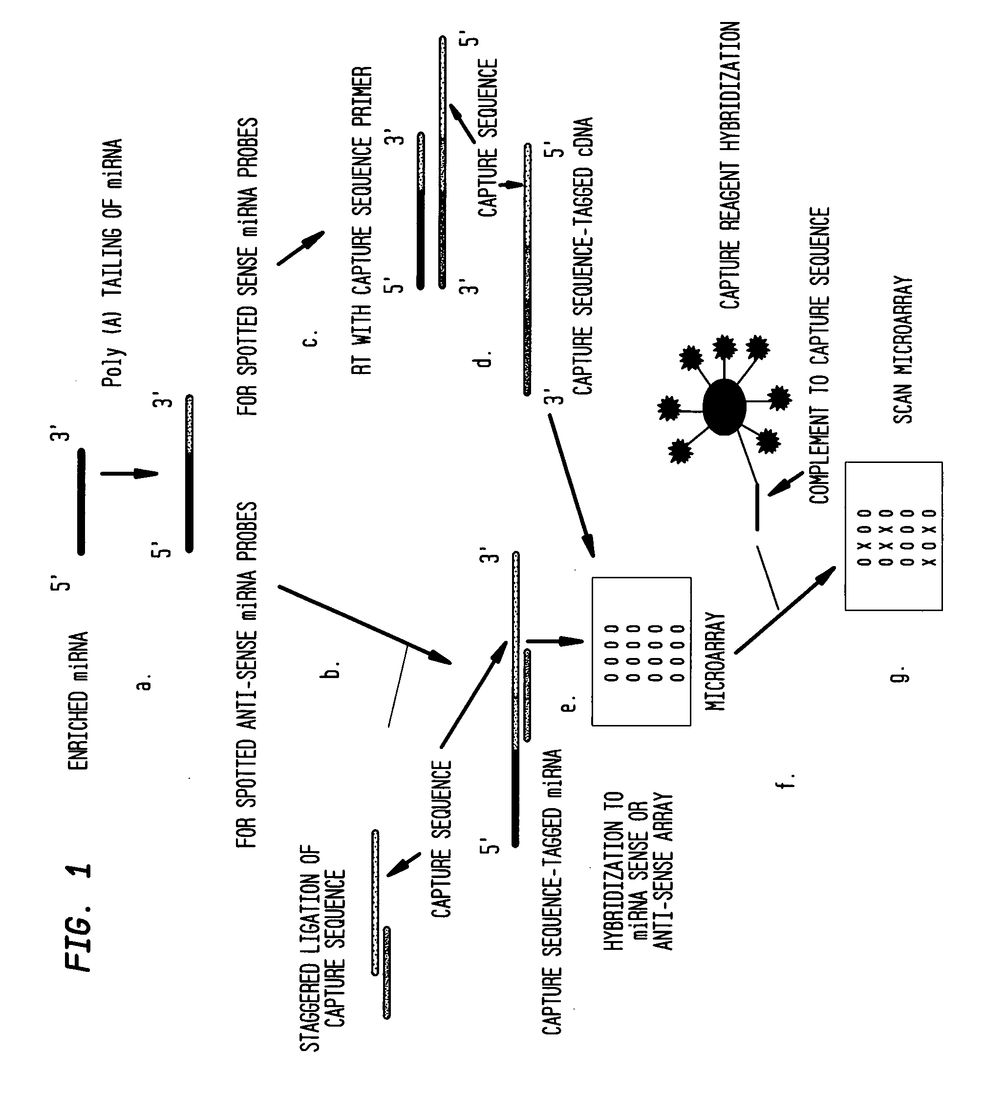 Methods for detection of microrna molecules