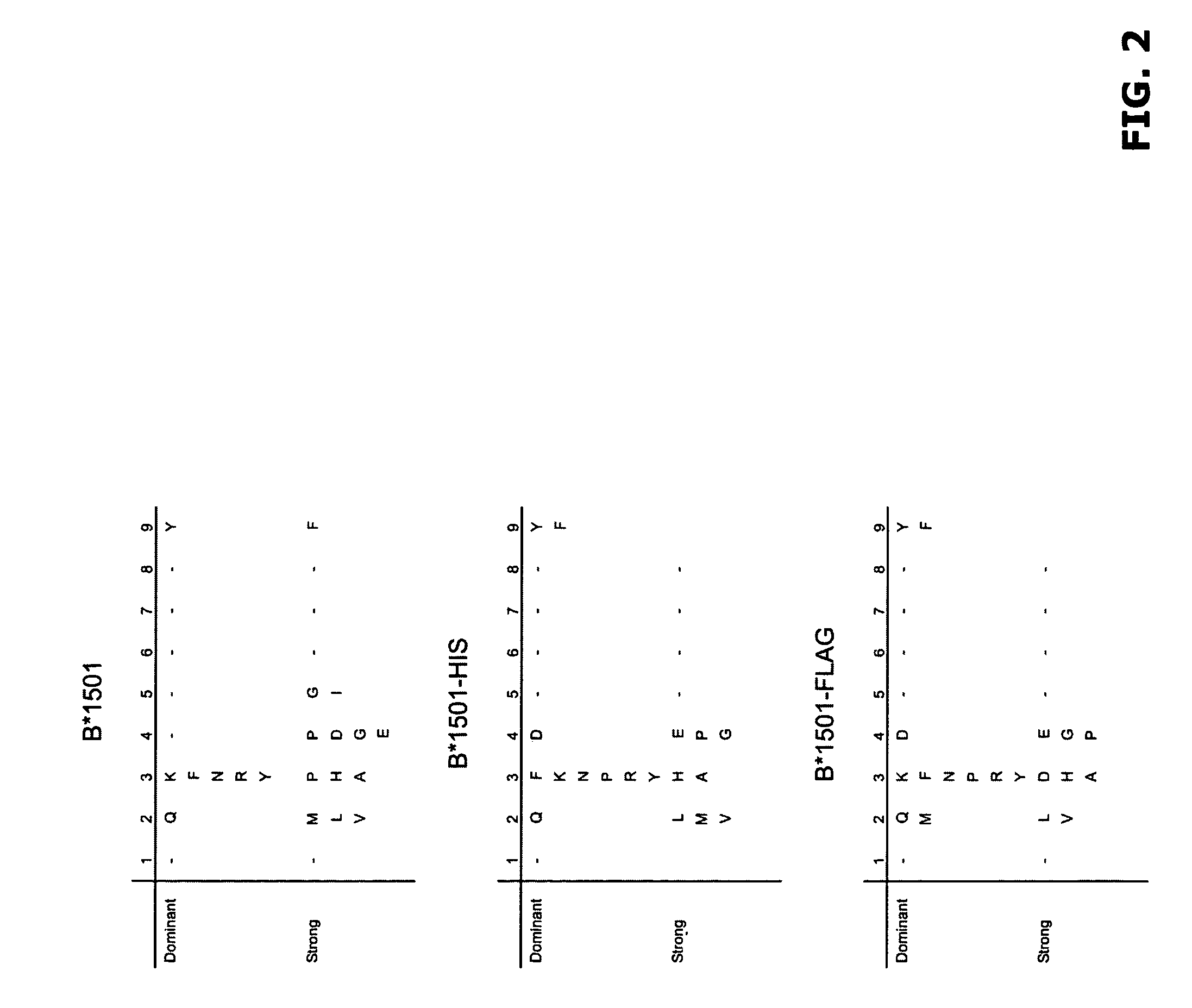 Comparative ligand mapping from MHC positive cells