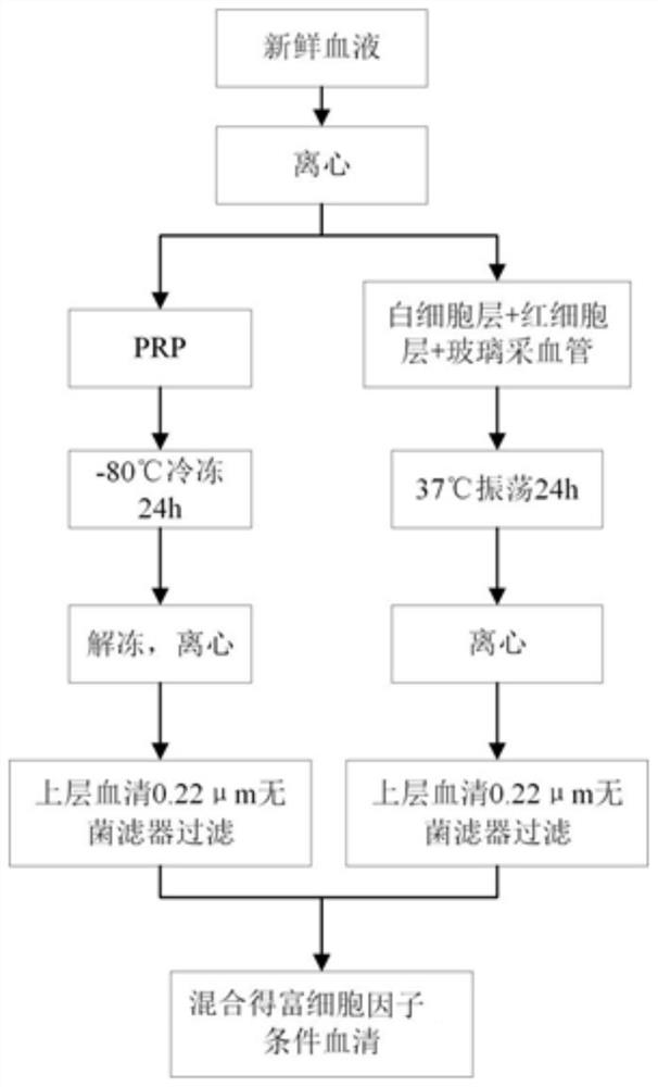 Preparation method and application of conditioned serum rich in cytokines