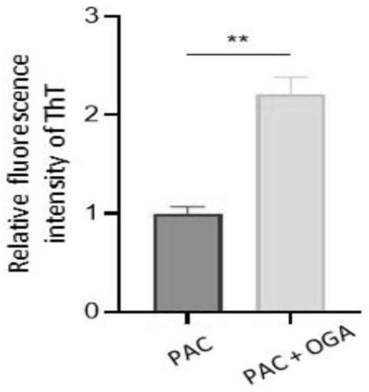 PKM2 tetramer allosteric activation peptide and application thereof in reversing Warburg effect and chemosensitization in tumors