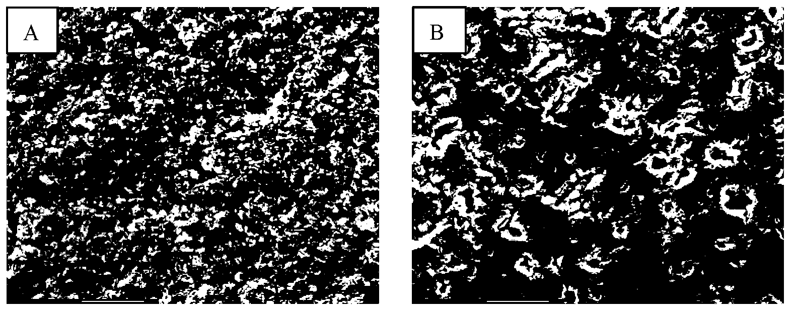 Anodic oxidation pretreatment method for environment-friendly titanium alloy