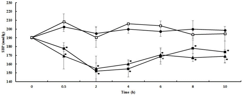 Matsutake polypeptide and matsutake extract, and application thereof