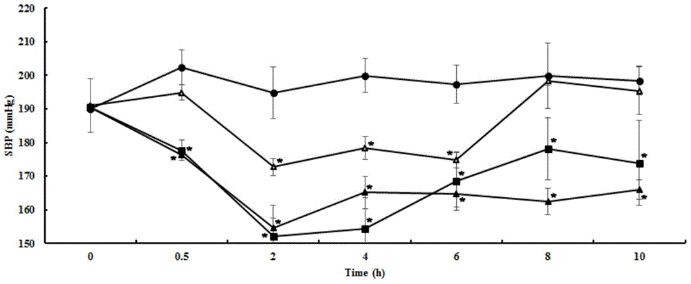 Matsutake polypeptide and matsutake extract, and application thereof