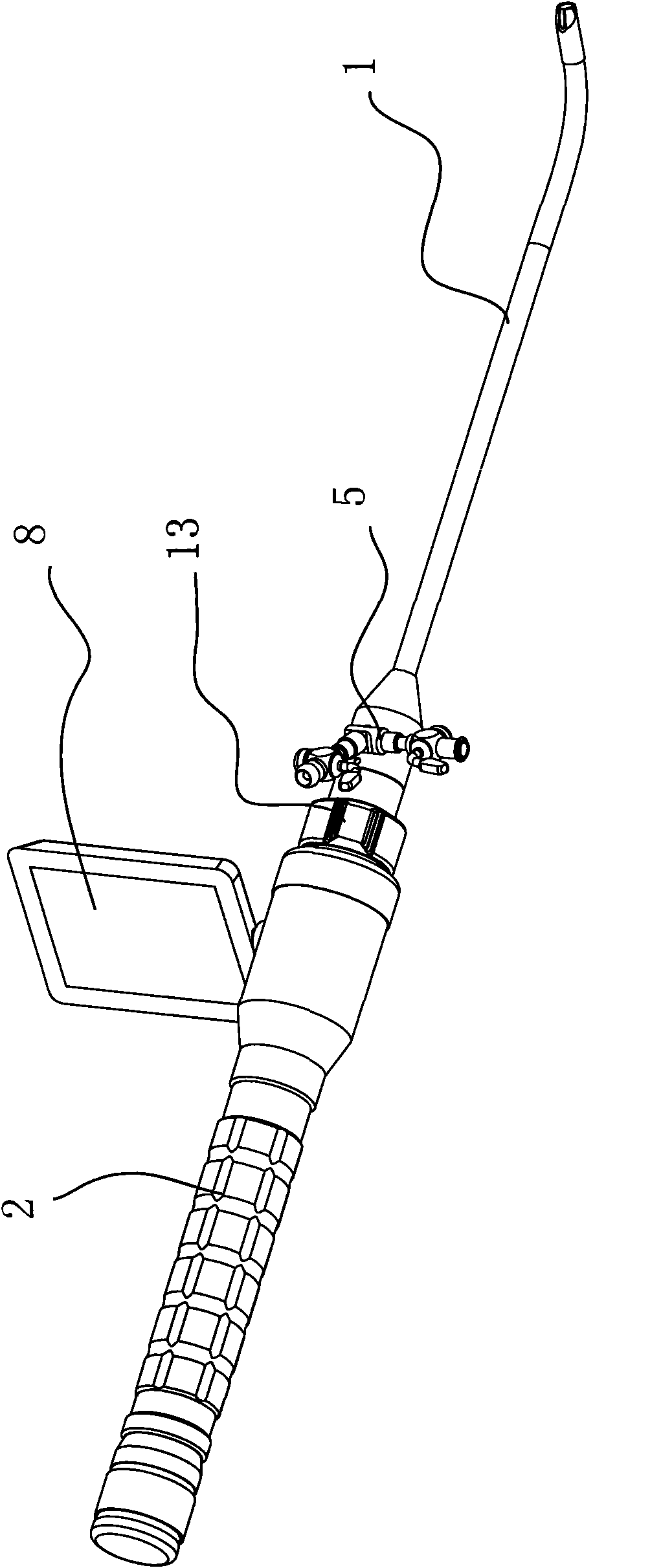 Portable electronic urethroscope
