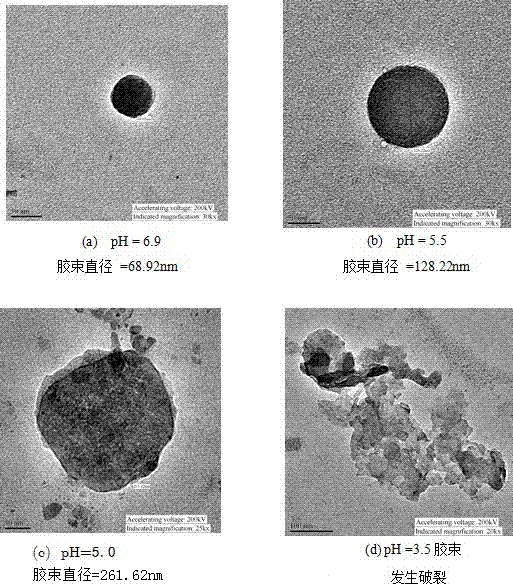 A preparation method of grafted cellulose medicinal molecules with ph/temperature responsiveness