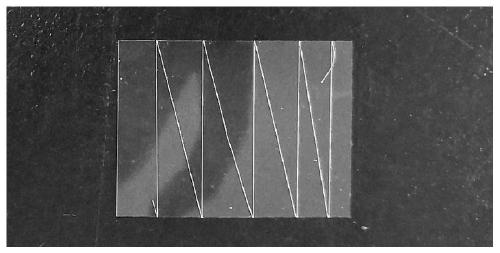 Exogenous substance importing method suitable for ova of shellfish mollusks