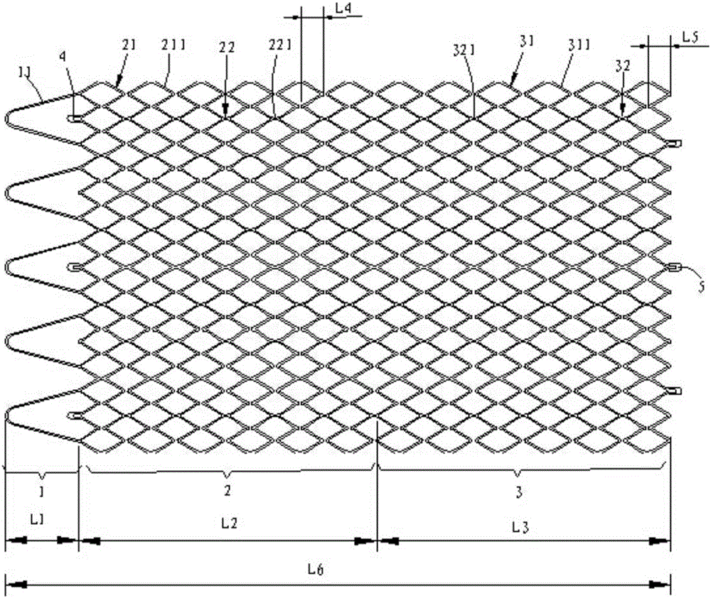 Intravascular stent and preparation method and application thereof