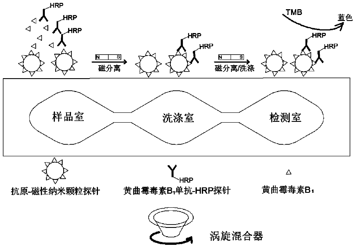 A kind of aflatoxin b1 immune rapid detection device and detection method