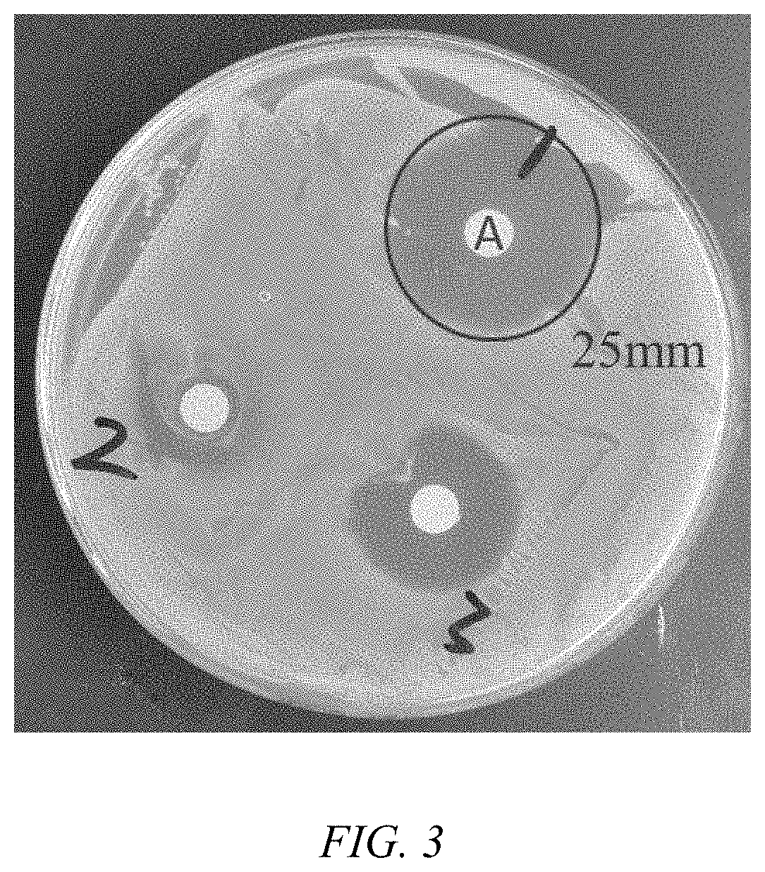 Pleuromutilin hippuric acid ester with antibacterial activity and a method of preparing the same