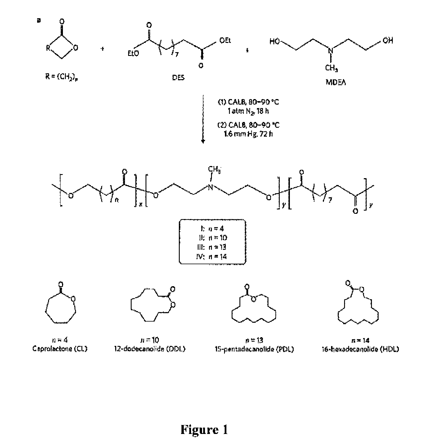 Enzymatic synthesis of poly(amine-co-esters) and methods of use thereof for gene delivery