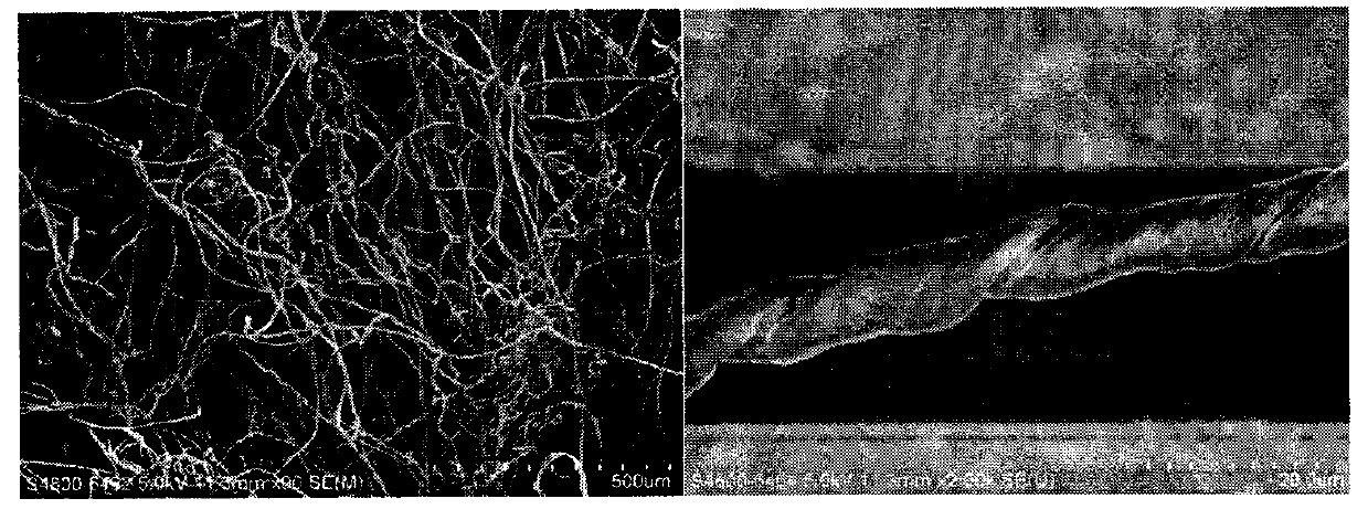 Method for preparing hollow structure carbon fibers by using cotton as raw material