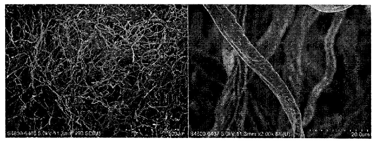 Method for preparing hollow structure carbon fibers by using cotton as raw material