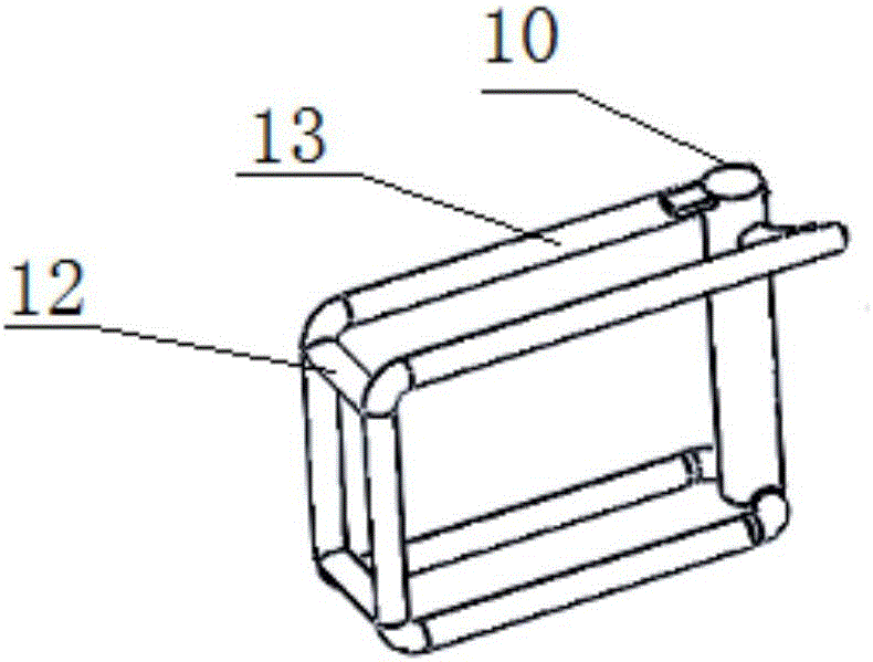 Apparatus and method for training pet dog