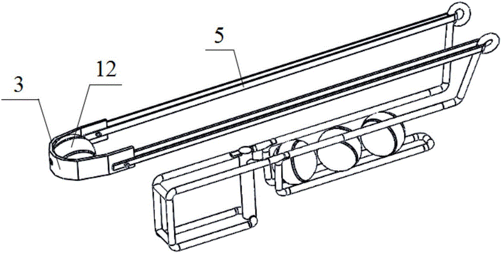 Apparatus and method for training pet dog