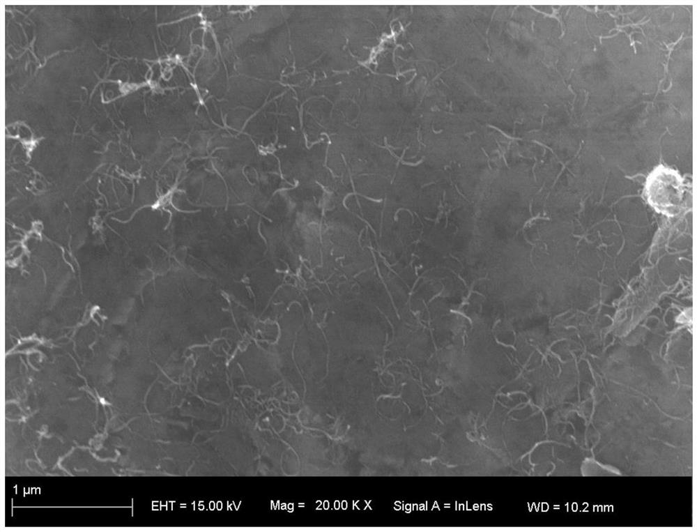 A kind of preparation method of cnts/al-li high-strength composite material