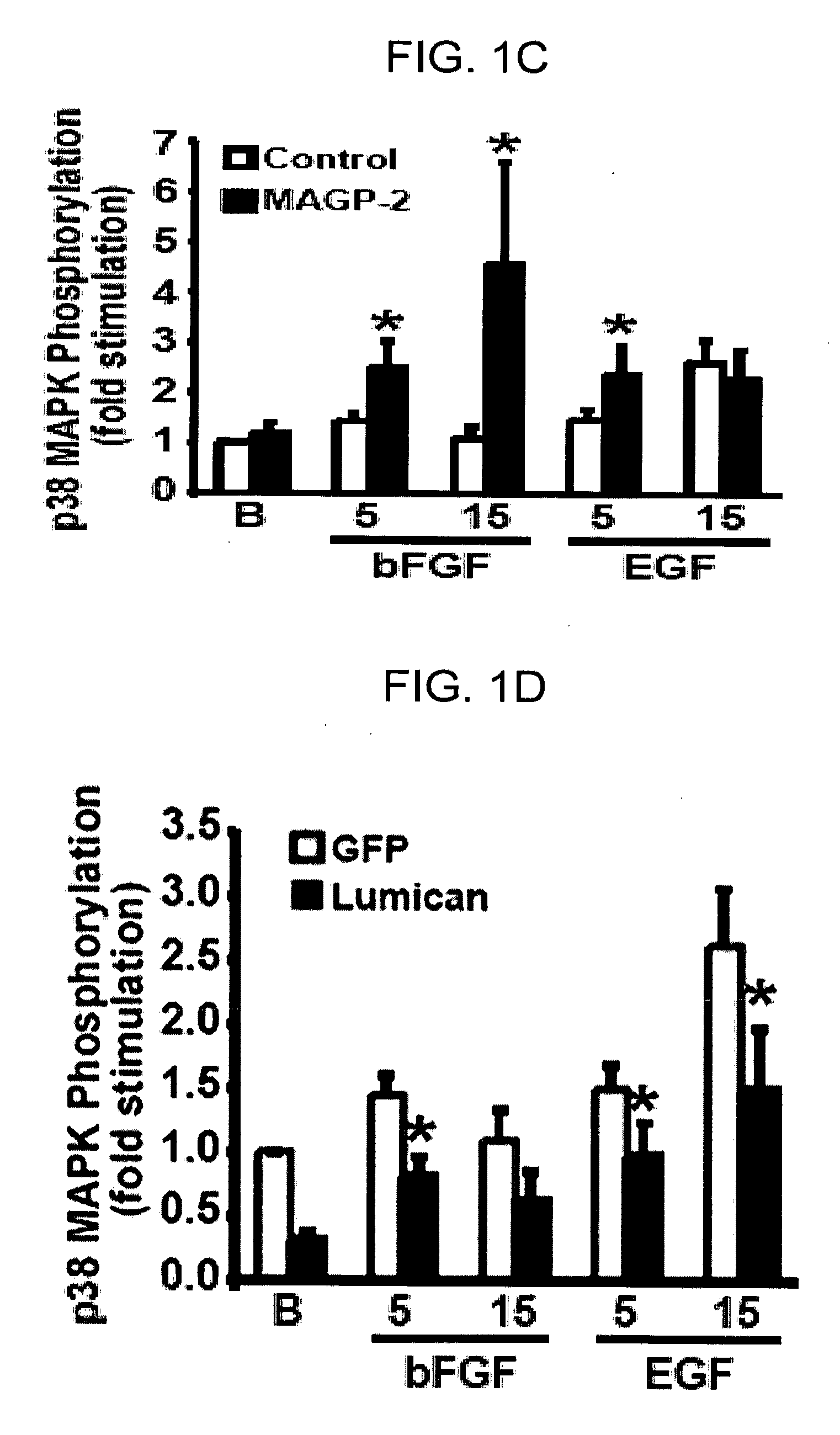 Genes and proteins associated with angiogenesis and uses thereof